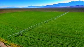 Nye County NV Alfalfa Farm with Pivots, Water Rights