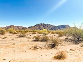 ±63.79 Acres of Pristine Desert with Mountain Views