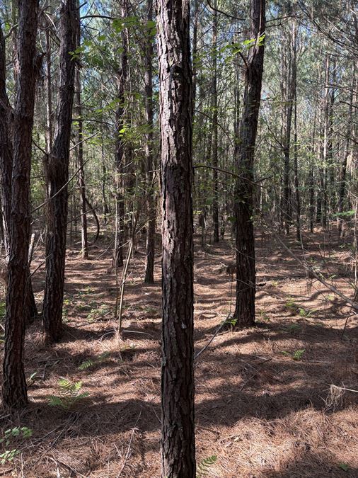 Columbia County Hunting and Recreation