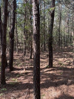 Columbia County Hunting and Recreation