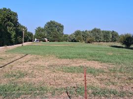 10 Acres of Commercial Land in Neosho, MO