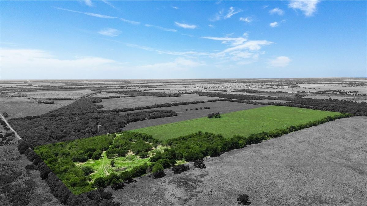 55 Acres for Sale in Royse City