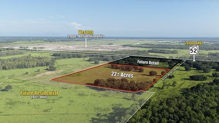 VacantLand space for Sale at State Road 52 in Land O Lakes