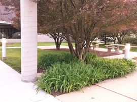 Island Shoppes