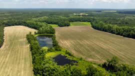 Sunbury Farm