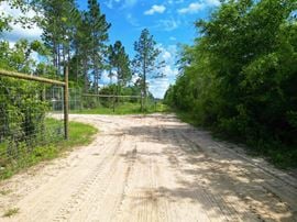 305 Acres in Fountain, FL | High-Fenced Hunting Ranch with Pond & Investment Potential