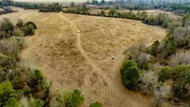 Telfair Tract 2