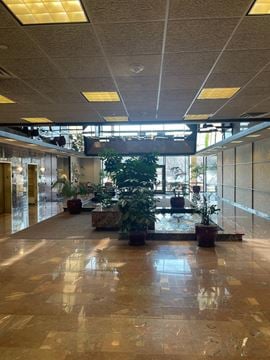 The Mark Building