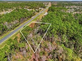 Cedar Key Commercial Land