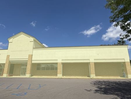 Retail space for Rent at 106 W Grand River Ave in Brighton