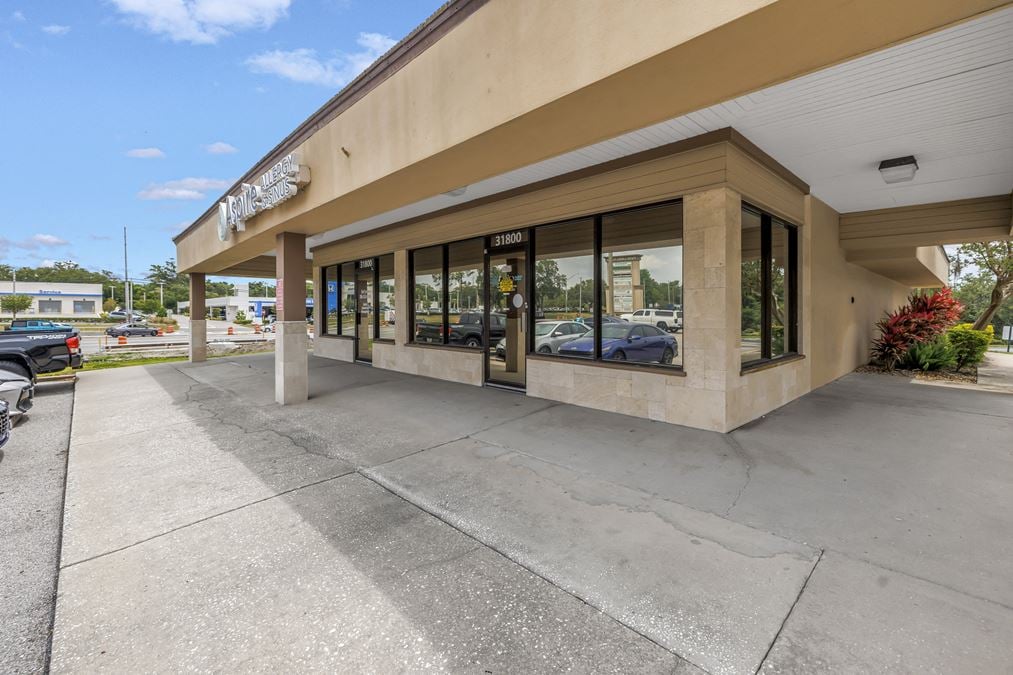 31800 US Highway 19 North