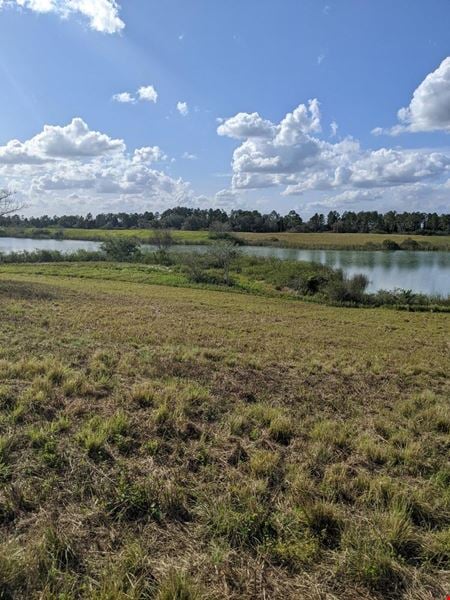 VacantLand space for Sale at 10249 County Road 555 in Fort Meade