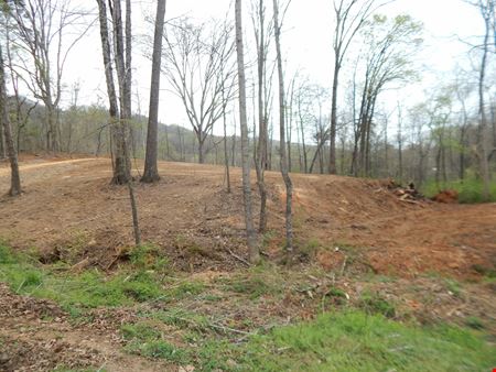 VacantLand space for Sale at Church Street in Valley Head