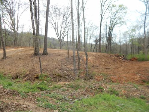 The Hill 14