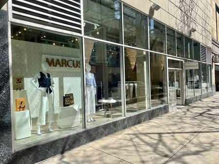 Retail space for Sale at 110 E Delaware Pl in Chicago
