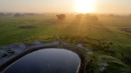 Palm Hammock Preserve