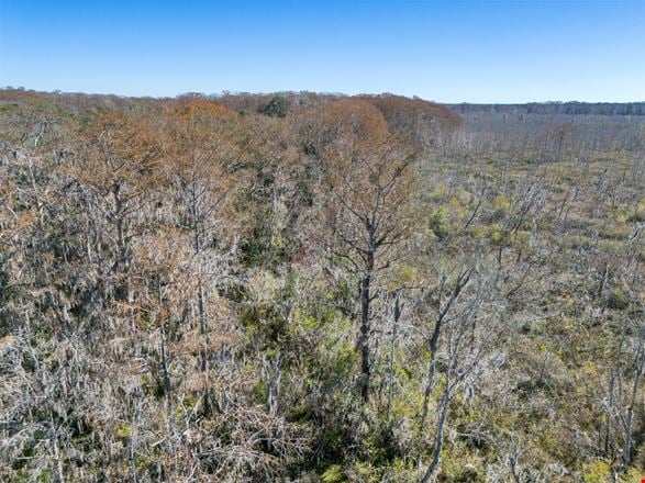 Leesburg 80-Acre Recreational Tract