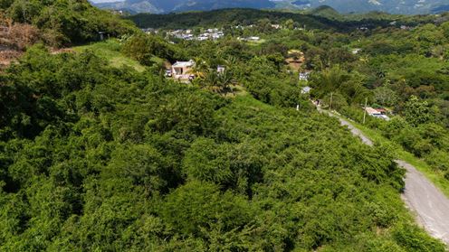 18.36 Acre Agricultural Land @ Ponce, Canas Ward - For Sale