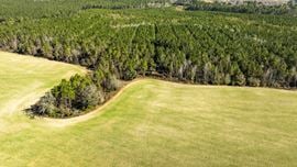 Quarterman Farm