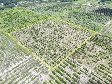 VacantLand space for Sale at 3961 Byron Boulevard in Avon Park