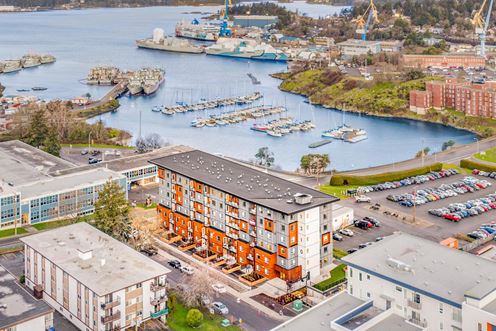 Harbourscape