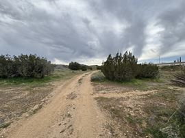 Pearblossom Hwy