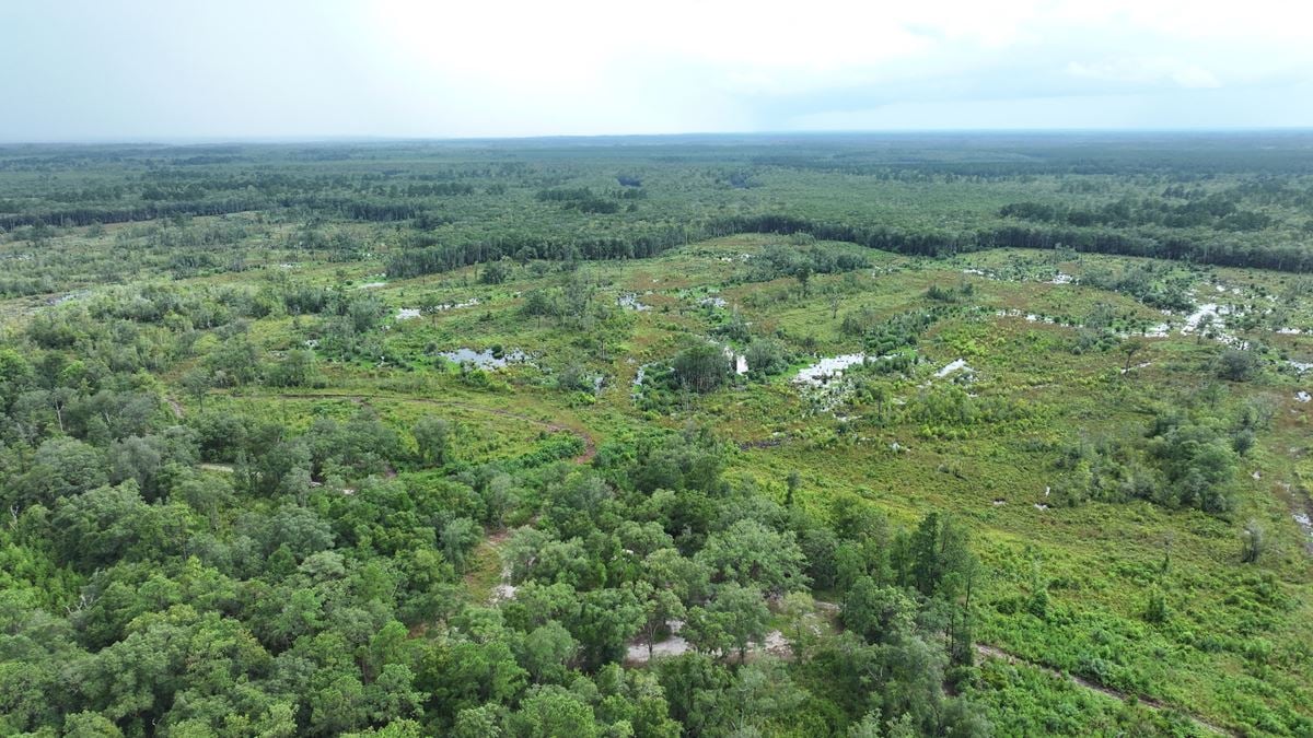 Camden Satilla River Tract