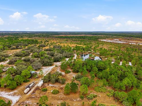 Bluefield Ranch Hunting Preserve