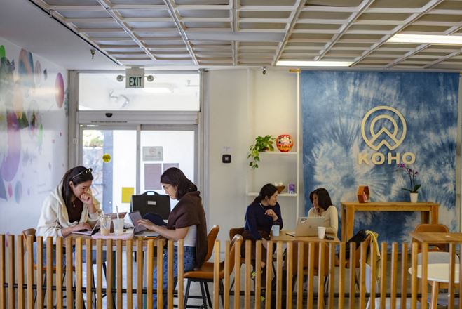 Koho - Creative Hub