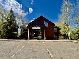 352 Lake Dillon Dr