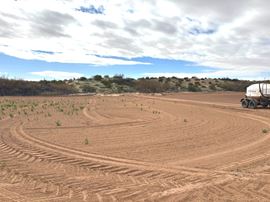 68.9 Acres with Farm Land - Avenue 43 E