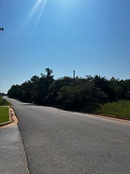 40 Acres For Lease or Sale Lincoln AL