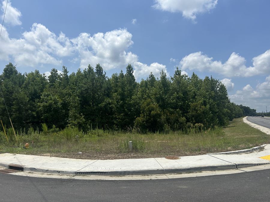 Alligator Rd