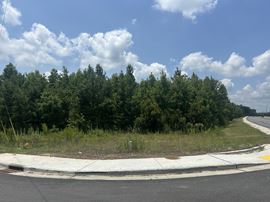 Alligator Rd