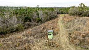 Telfair Tract 1