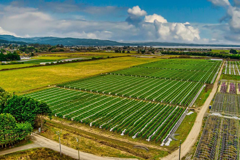 Arcata Greenhouses