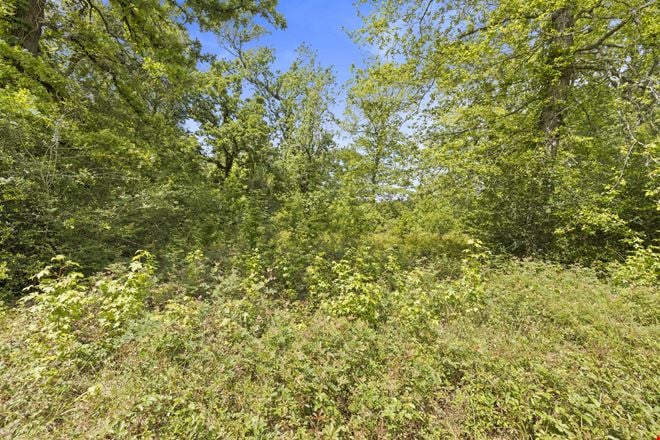 7.9 Acres for Lease | Prime FM 3083 Conroe Corner Tract with 500 Ft Frontage