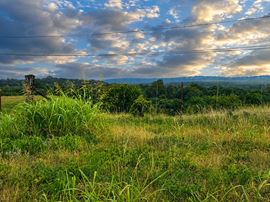 ±12 ACRES IN WISE COUNTY