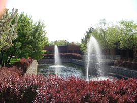 617-657 East Golf Road
