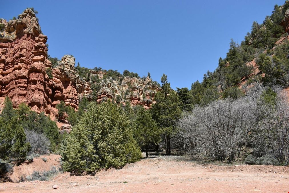  Dry Canyon