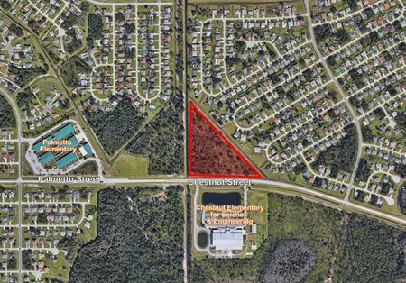 Chestnut Street - Kissimmee