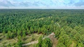 111+/- Acres of Recreational Tract Geared for Hunting on the Aiken and Barnwell County Line