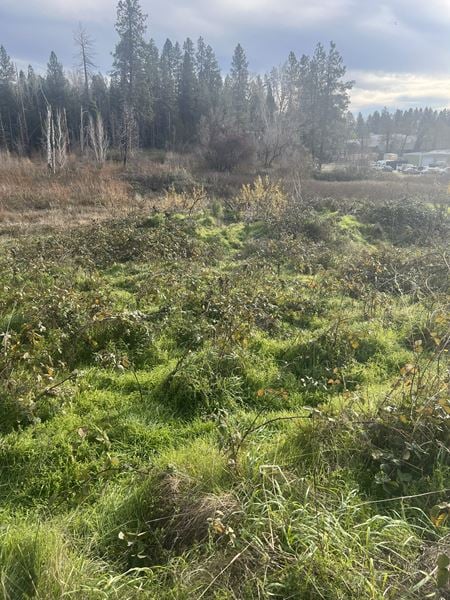 VacantLand space for Sale at South Auburn Street in Grass Valley