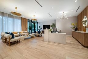 Wellness, Medical + Aesthetic