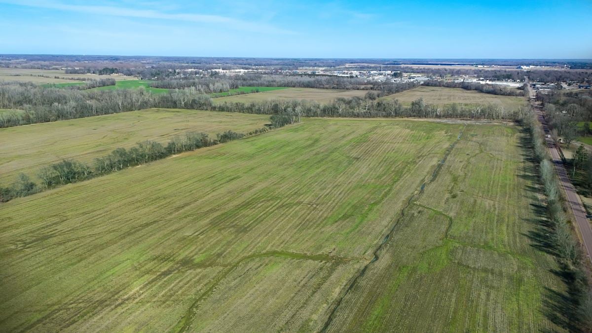 Bolton Farms