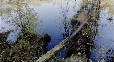 Future Development Acreage Aiken County
