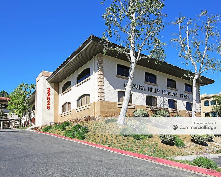 Agoura Hills Medical Plaza 29525 Canwood Street Office Building