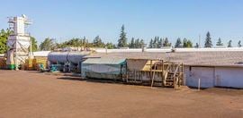 Canby Industrial