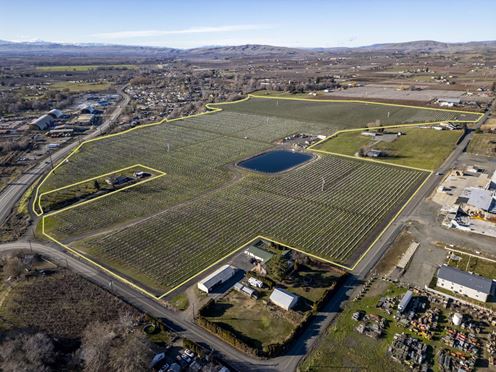 Occidental Orchards