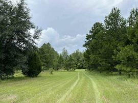 120 ACRE FARM